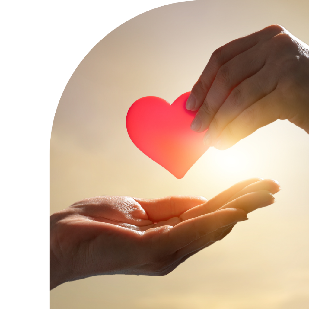 elementos tarjetas (83)